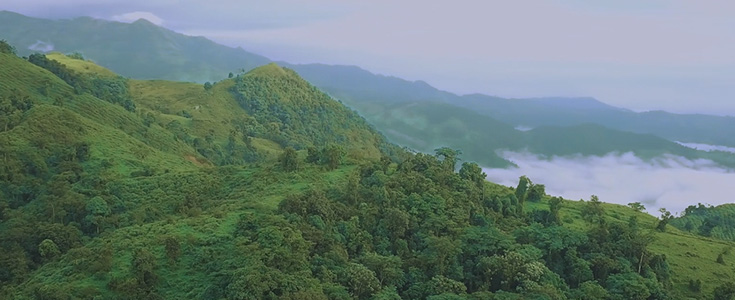 九游体育完成对厄瓜多尔凯歌豪斯金矿100%股权的交割，布局版图新增黄金资源