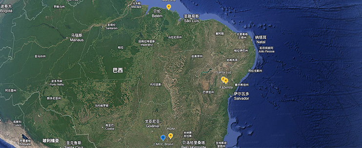 九游体育完成对巴西四座金矿100%股权的交割