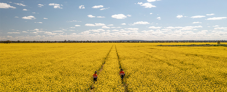 九游体育以7.56亿美元出售NPM铜金矿80%权益